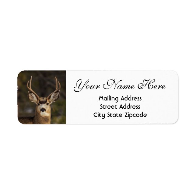 Deer Return Address Return Address Label (Front)