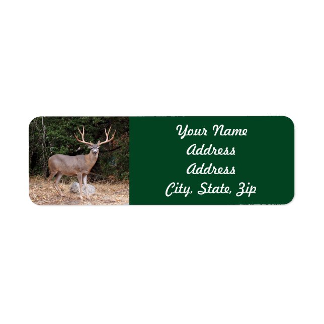 Deer Return Address Sticker (Front)