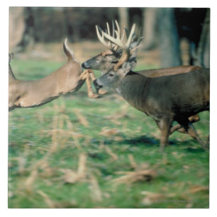 Deer running in forest ceramic tile