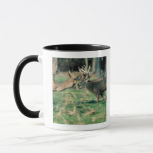 Deer running in forest mug