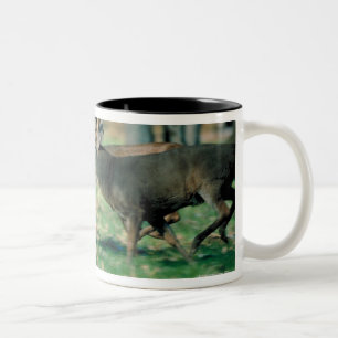 Deer running in forest Two-Tone coffee mug