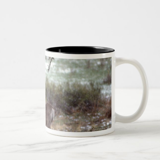 Deer running Two-Tone coffee mug (Right)