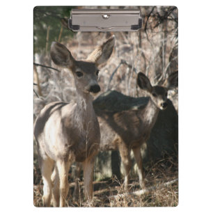 Deer saying hello clipboard