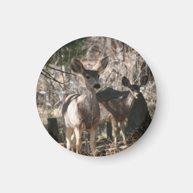 Deer saying hello magnet (Front)