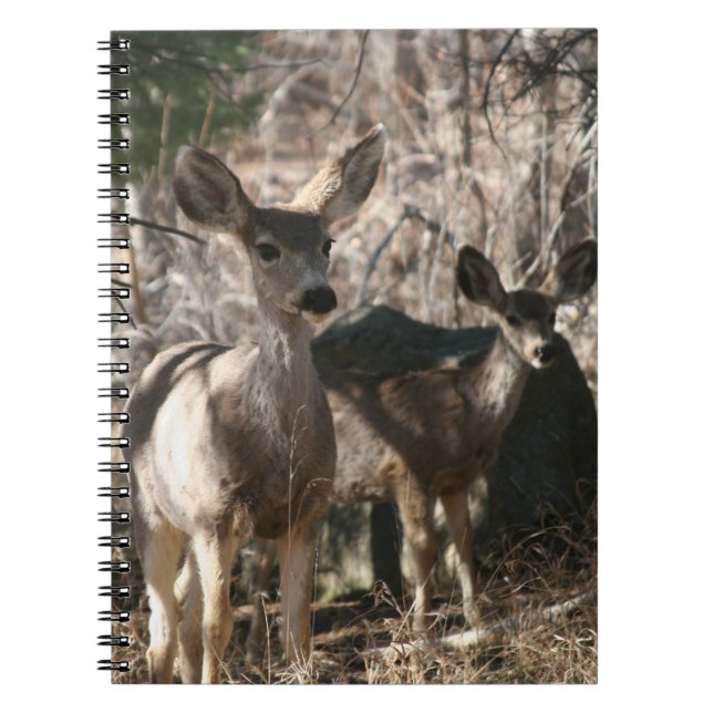 Deer saying hello notebook (Front)