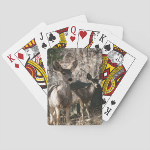 Deer saying hello playing cards