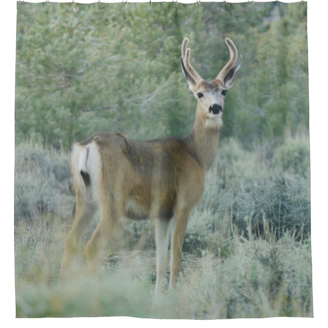 Deer Shower Curtain (Front)