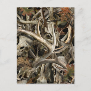 Deer Skulls Camo Postcard