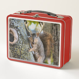 Deer Squirrelly Metal Lunch Box