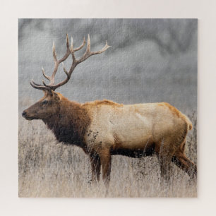Deer Stag Animals Wildlife Nature Buck Jigsaw Puzzle