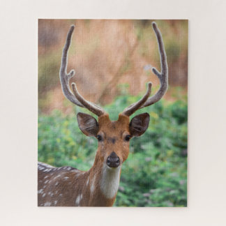 Deer Stag Antlers Woodland Wildlife Jigsaw Puzzle