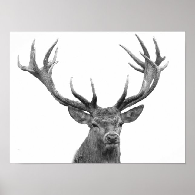 Deer Stag Black White Cabin Style Modern Poster (Front)