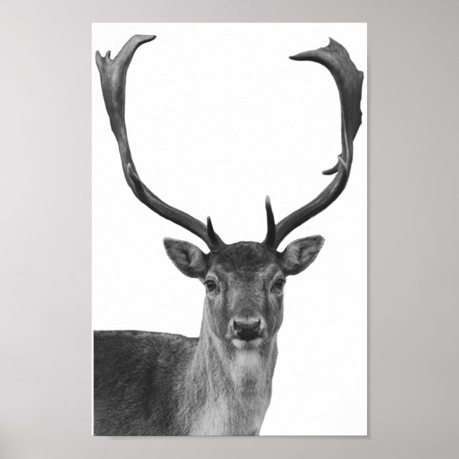 Deer Stag Black White Cabin Style Poster (Front)