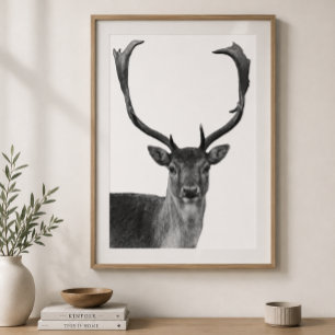 Deer Stag Black White Cabin Style Poster