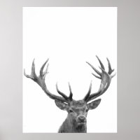 Deer Stag Black White Photo Poster