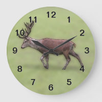 Deer Stag, Digital Art.