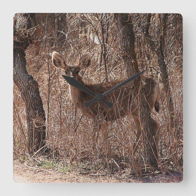 Deer Stare  Square Wall Clock (Front)