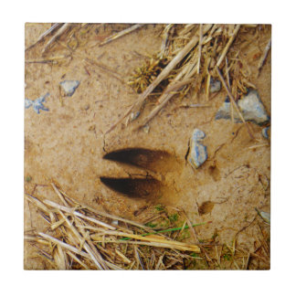 Deer Track Ceramic Tile
