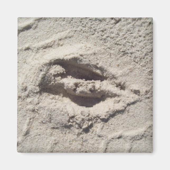 Deer track magnet (Front)