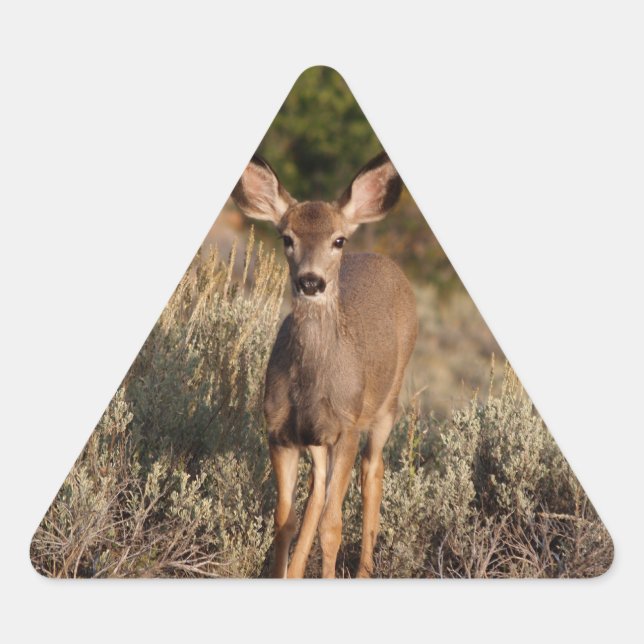 Deer Triangle Sticker (Front)