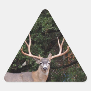 Deer Triangle Sticker