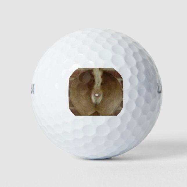 Deer trophy Golf Balls (Front)