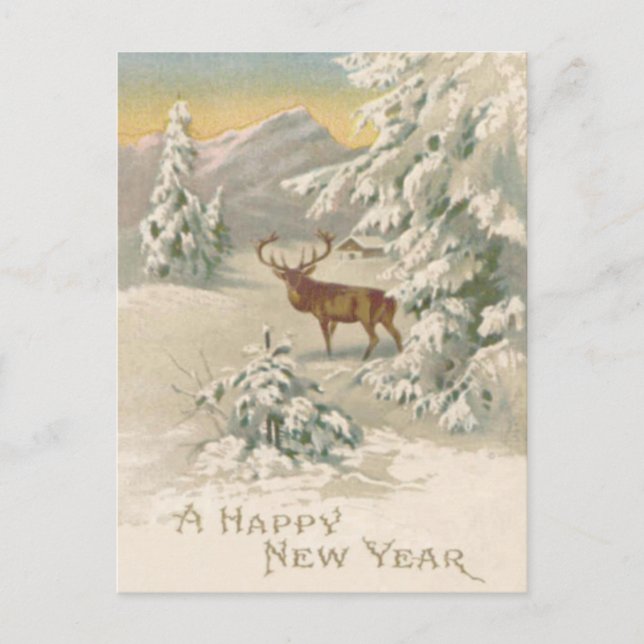 Deer Winter Snow Cabin Mountain Evergreen Postcard (Front)