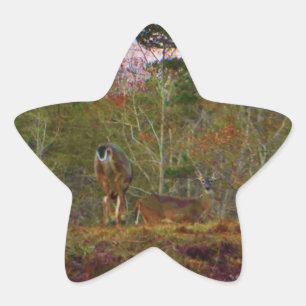 Deer with a Pink blue sky Star Sticker