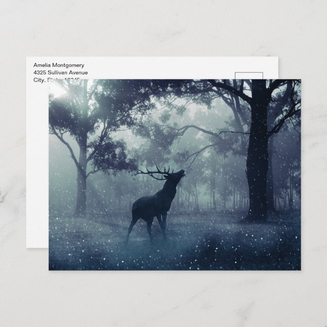 Deer with Antlers in a Shadowy Forest Postcard (Front/Back)