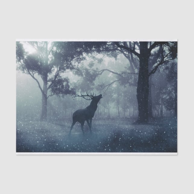 Deer with Antlers in a Shadowy Forest Tissue Paper (Front)