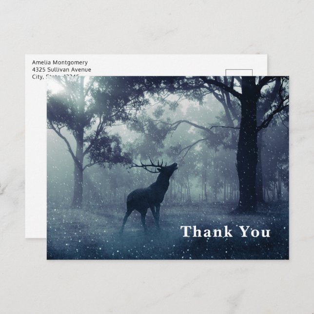 Deer with Antlers in Shadowy Forest Thank You Postcard (Front/Back)