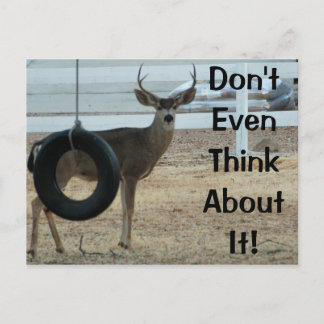 Deer With Attitude Postcard