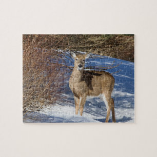 Deer With Snow And Brush Jigsaw Puzzle