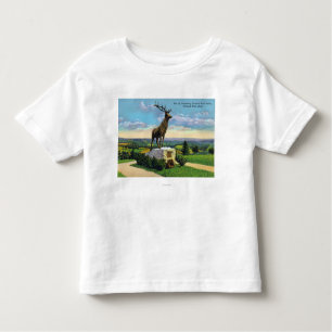 Deerfield River Valley on Mohawk Trail Toddler T-Shirt