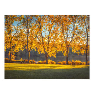 DeerLake in Fall Photo Print