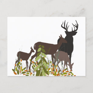 Deers in the Wild. Forest Animals Postcard