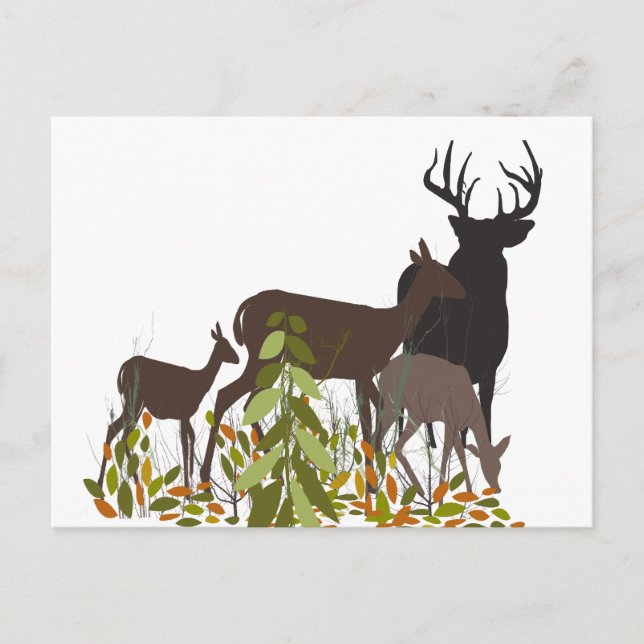 Deers in the Wild. Forest Animals Postcard (Front)