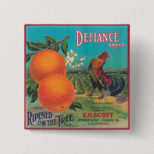 Defiance Orange LabelVenice Cove, CA 15 Cm Square Badge