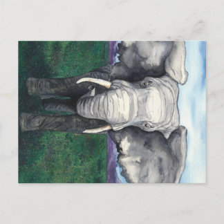 Defiant - African Elephant Postcard