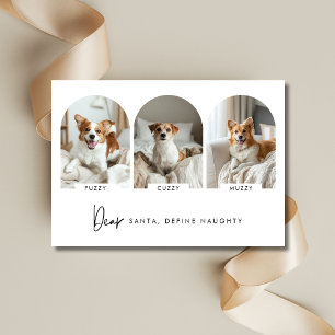 Define Naughty Christmas Arch Dog Photo With Name Holiday Card