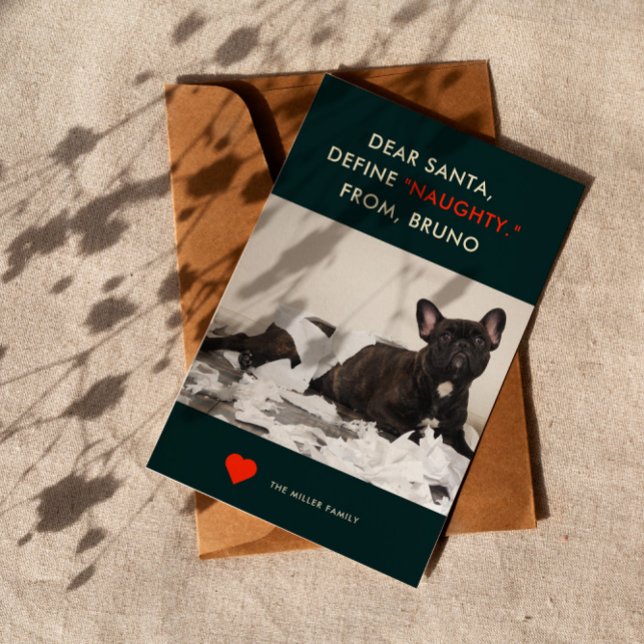 Define Naughty | Cute and Funny Dog Photo Holiday Card (Creator Uploaded)