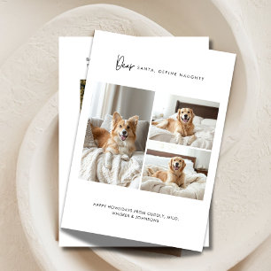 Define Naughty Funny 4 Photo Dog Christmas Pet Holiday Card