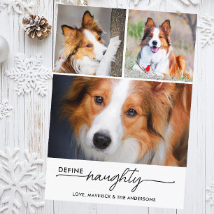 Define Naughty Funny Custom Pet Photos Chrismtas Holiday Card