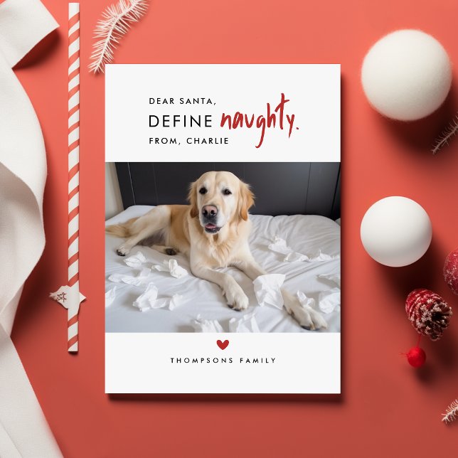 Define Naughty | Funny Dog Photo Christmas Cards (Creator Uploaded)