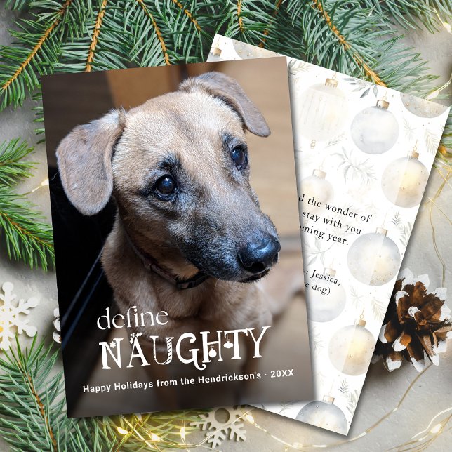 Define Naughty Funny Pet Photo Dog Cat Holiday Card (Define Naughty Pet Photo Holiday Christmas Card with your pet's photo, personalized message on back.)