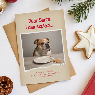 Define Naughty Funny Pet Photo Dog Christmas Holiday Card