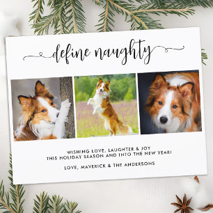 Define Naughty Personalised Funny 3 Pet Photos Holiday Postcard