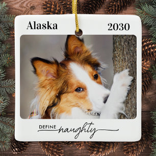 Define Naughty Personalised Funny Pet Dog Photo Ceramic Ornament