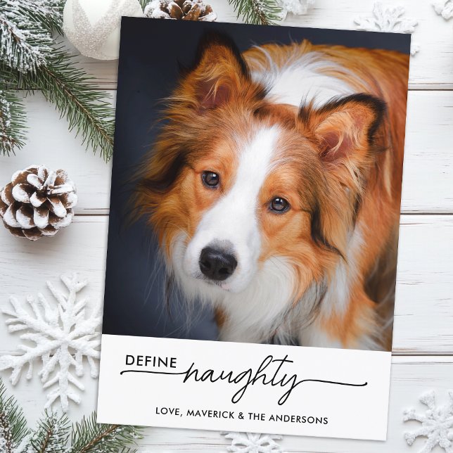 Define Naughty Personalised Funny Pet Dog Photo Holiday Card (Creator Uploaded)