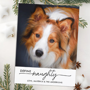 Define Naughty Personalised Funny Pet Dog Photo Holiday Postcard